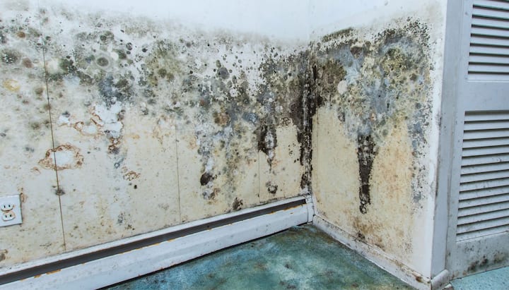 Professional mold removal, odor control, and water damage restoration service in Greenville, South Carolina.