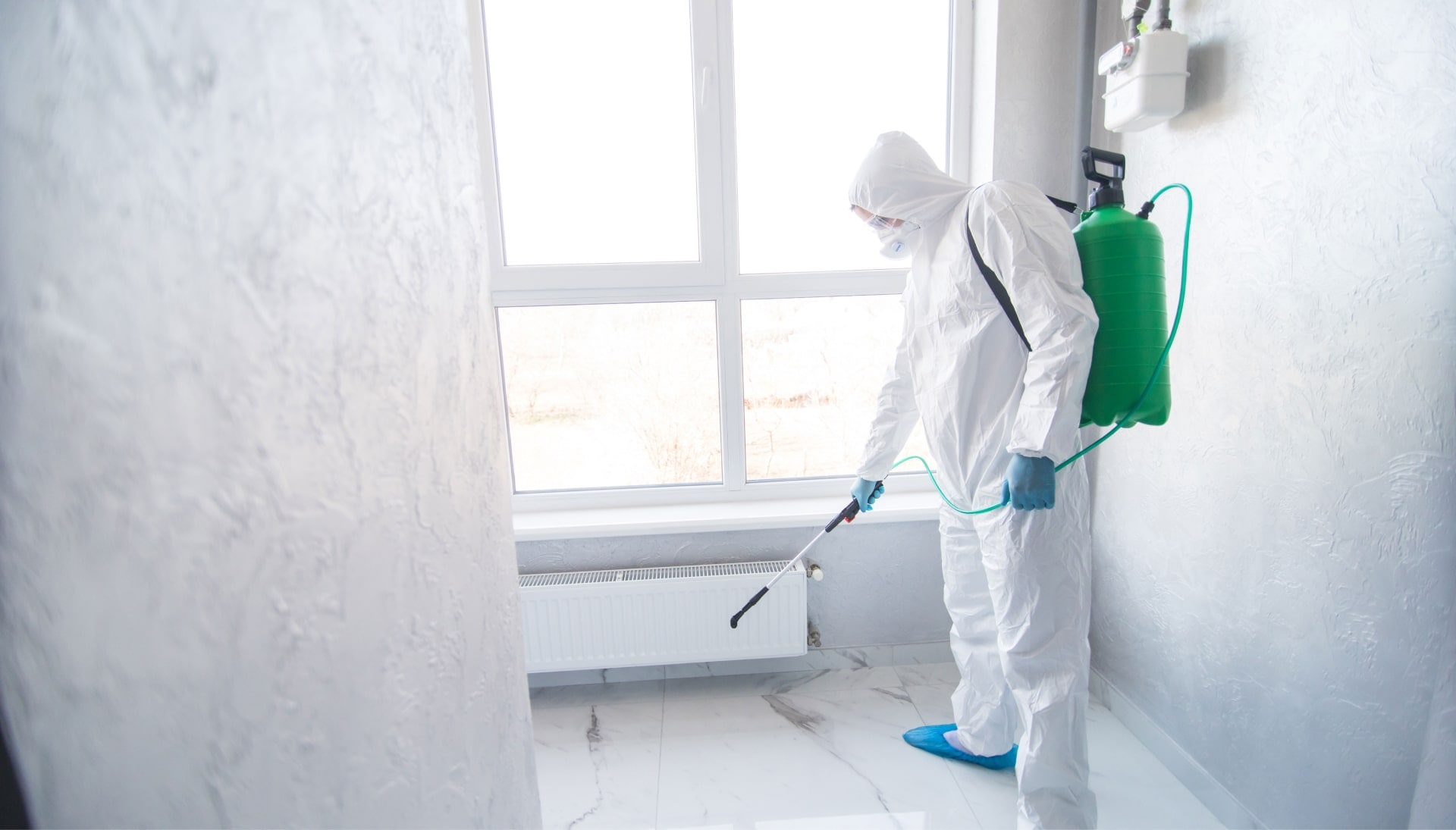 We provide the highest-quality mold inspection, testing, and removal services in the Greenville, South Carolina area.